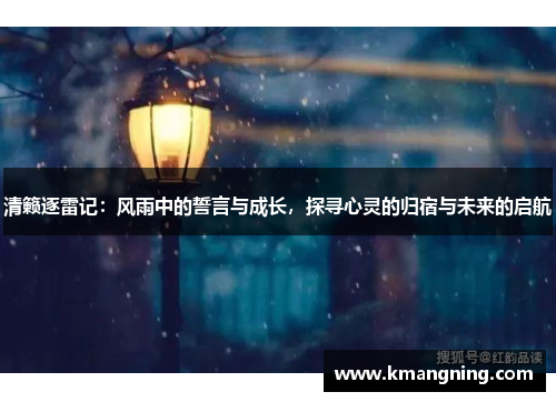 清籁逐雷记：风雨中的誓言与成长，探寻心灵的归宿与未来的启航