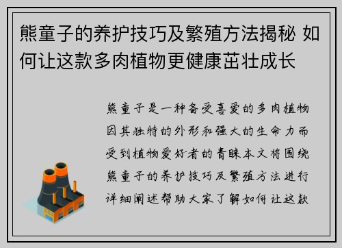 熊童子的养护技巧及繁殖方法揭秘 如何让这款多肉植物更健康茁壮成长